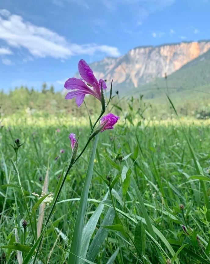 Вилла Auszeit Natur Филлах Экстерьер фото